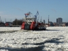 Eis auf der Elbe 15.02.2012