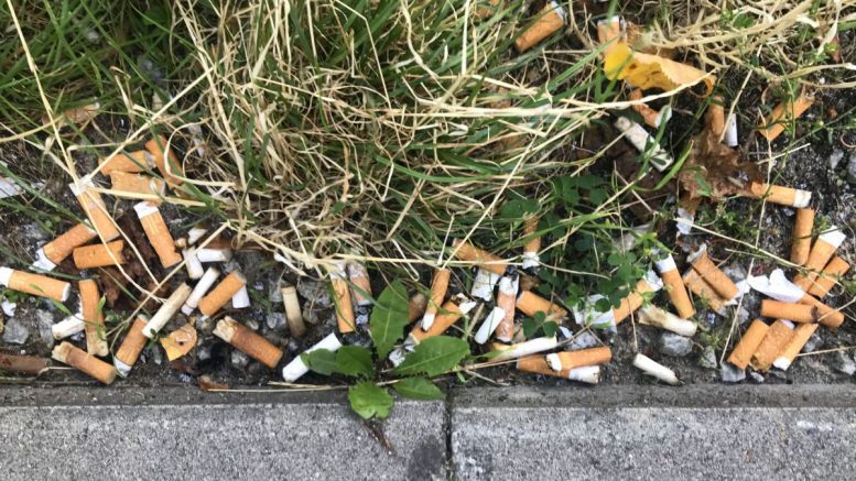 Weggeworfene Zigarettenkippen