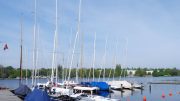 Bootssteg des Segelvereins NRV Hamburg mit Drachenbooten
