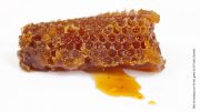 Bienen-Honigwabe