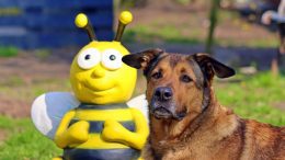 Bienenfigur mit Hund