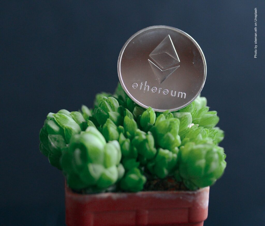 ethereum Münze im Kaktus